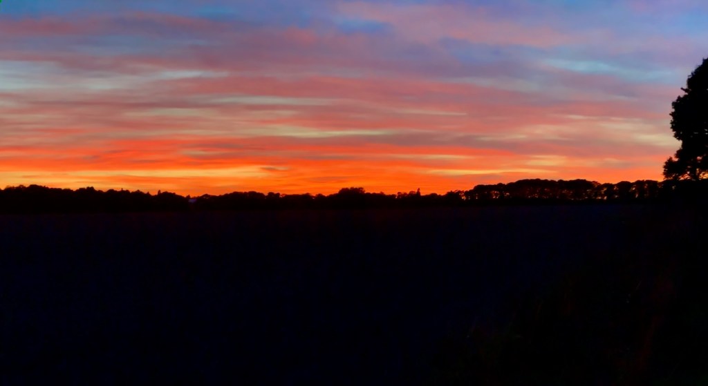 Red sky at night, shepherd's delight.